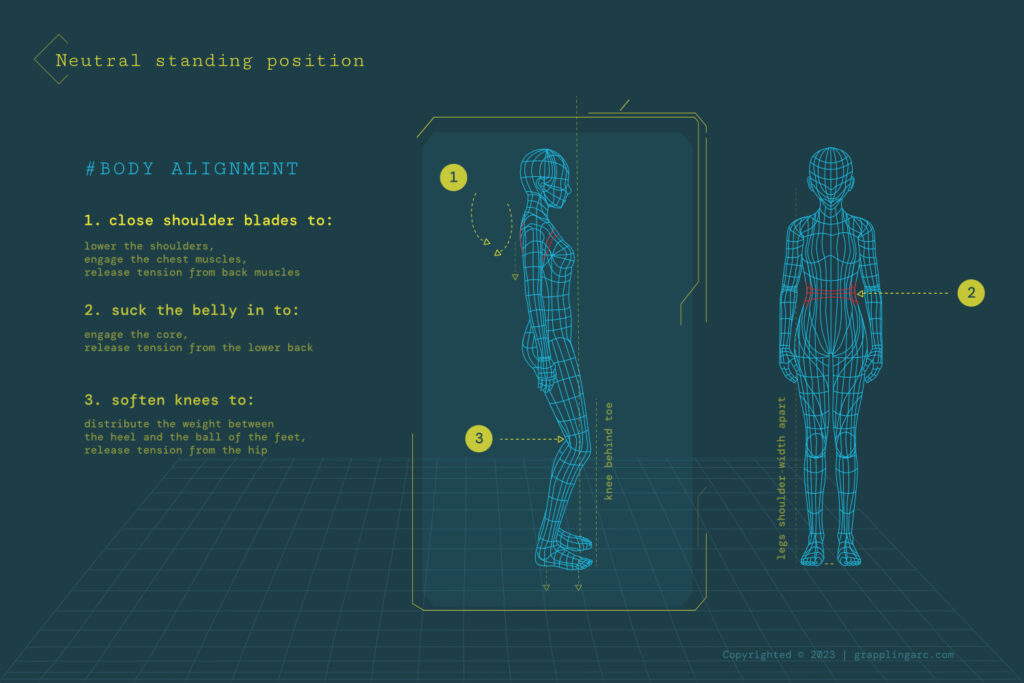 Step-by-step progressive core exercise - Safe core workout to avoid back pain public articles