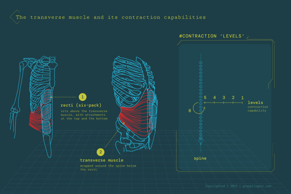 Step-by-step progressive core exercise - Safe core workout to avoid back pain public articles