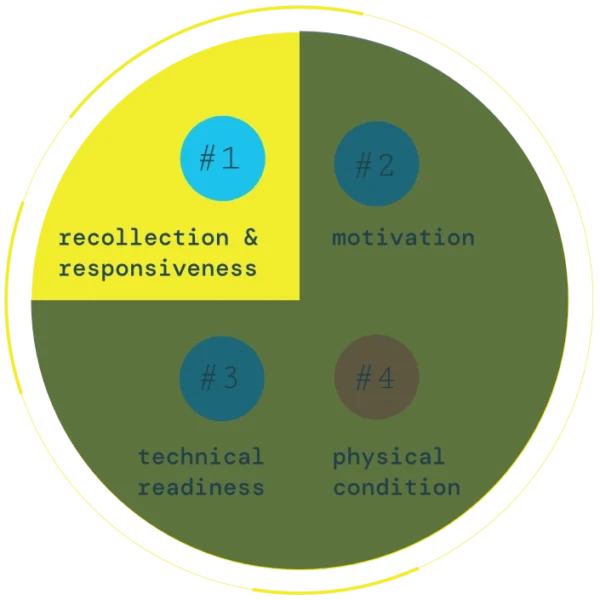 Tournament preparation model for grappling arts® - 1img Tournament Preparation Model For Grappling Arts® 1img 600x600