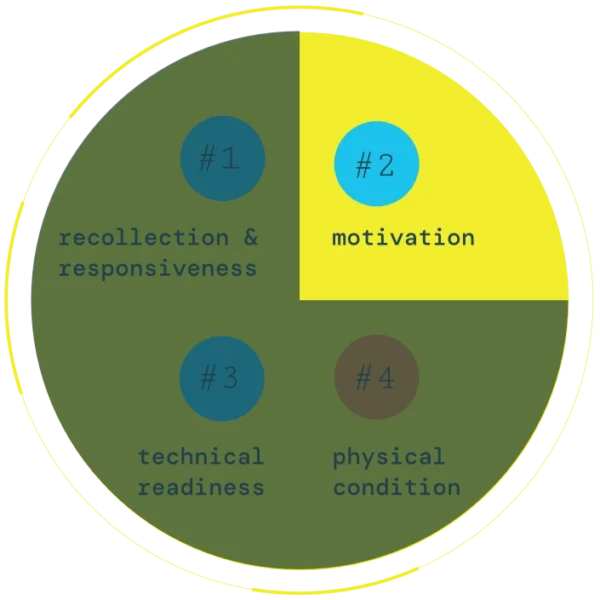 Tournament preparation model for grappling arts® - 2img Tournament Preparation Model For Grappling Arts® 2img 600x600