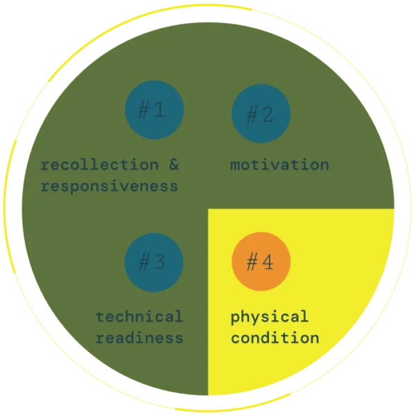 Tournament preparation model for grappling arts® - 4img Tournament Preparation Model For Grappling Arts® 4img 600x600