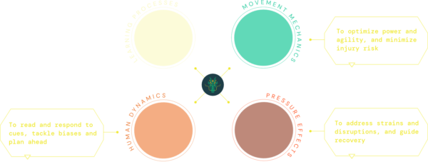 module 5 knowledge framework professional certificate in combat sport coaching grapplingarc module 5 knowledge framework professional certificate in combat sport coaching grapplingarc